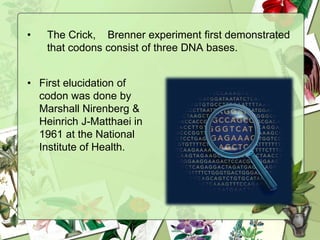 • The Crick, Brenner experiment first demonstrated
that codons consist of three DNA bases.
• First elucidation of
codon was done by
Marshall Nirenberg &
Heinrich J-Matthaei in
1961 at the National
Institute of Health.
 