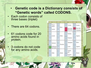 • Genetic code is a Dictionary consists of
“Genetic words” called CODONS.
• Each codon consists of
three bases (triplet)
• There are 64 codons.
• 61 codons code for 20
amino acids found in
protein.
• 3 codons do not code
for any amino acids.
 
