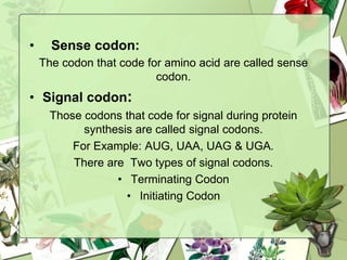 • Sense codon:
The codon that code for amino acid are called sense
codon.
• Signal codon:
Those codons that code for signal during protein
synthesis are called signal codons.
For Example: AUG, UAA, UAG & UGA.
There are Two types of signal codons.
• Terminating Codon
• Initiating Codon
 