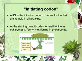 “Initiating codon”
• AUG is the initiation codon. It codes for the first
amino acid in all proteins.
• At the starting point it codes for methionine in
eukaryotes & formyl methionine in prokaryotes.
 
