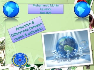 Muhammad Mohin
Qureshi
Roll #28
 