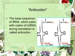 “Anticodon”
• The base sequence
of tRNA which pairs
with codon of mRNA
during translation is
called anticodon.
 