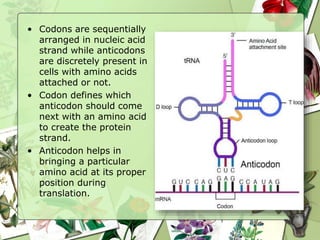• Codons are sequentially
arranged in nucleic acid
strand while anticodons
are discretely present in
cells with amino acids
attached or not.
• Codon defines which
anticodon should come
next with an amino acid
to create the protein
strand.
• Anticodon helps in
bringing a particular
amino acid at its proper
position during
translation.
 