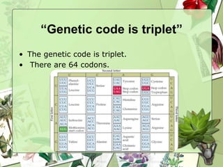 “Genetic code is triplet”
• The genetic code is triplet.
• There are 64 codons.
 