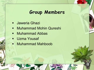 Group Members
 Jaweria Ghazi
 Muhammad Mohin Qureshi
 Muhammad Abbas
 Uzma Yousaf
 Muhammad Mahboob
 
