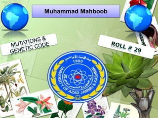 Muhammad Mahboob
 