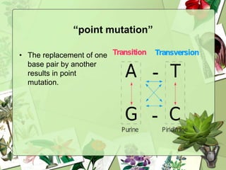 “point mutation”
• The replacement of one
base pair by another
results in point
mutation.
 