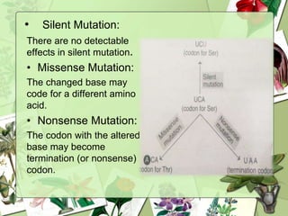 • Silent Mutation:
There are no detectable
effects in silent mutation.
• Missense Mutation:
The changed base may
code for a different amino
acid.
• Nonsense Mutation:
The codon with the altered
base may become
termination (or nonsense)
codon.
 