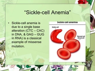 “Sickle-cell Anemia”
• Sickle-cell anemia is
due to a single base
alteration (CTC – CAC)
in DNA, & GAG – GUG
in RNA) is a classical
example of missense
mutation.
 