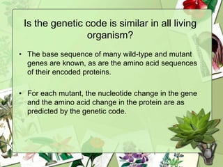 Is the genetic code is similar in all living
organism?
• The base sequence of many wild-type and mutant
genes are known, as are the amino acid sequences
of their encoded proteins.
• For each mutant, the nucleotide change in the gene
and the amino acid change in the protein are as
predicted by the genetic code.
 