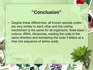 “Conclusion”
• Despite these differences, all known species codes
are very similar to each other and the coding
mechanism is the same for all organisms: three base
codons, tRNA, ribosomes, reading the code in the
same direction and translating the code 3 letters at a
time into sequence of amino acids.
 