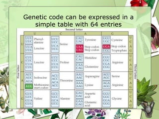 Genetic code can be expressed in a
simple table with 64 entries
 