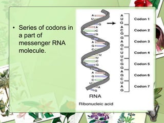 • Series of codons in
a part of
messenger RNA
molecule.
 