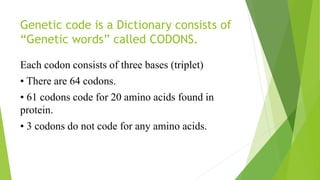 Genetic code is a Dictionary consists of
“Genetic words” called CODONS.
Each codon consists of three bases (triplet)
• There are 64 codons.
• 61 codons code for 20 amino acids found in
protein.
• 3 codons do not code for any amino acids.
 