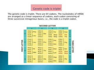 Genetic code | PPTX | Programming Languages | Computing