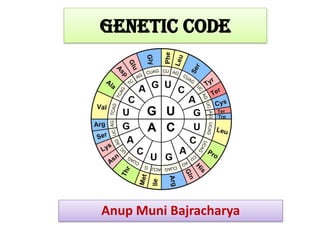 Genetic Code
Anup Muni Bajracharya
 
