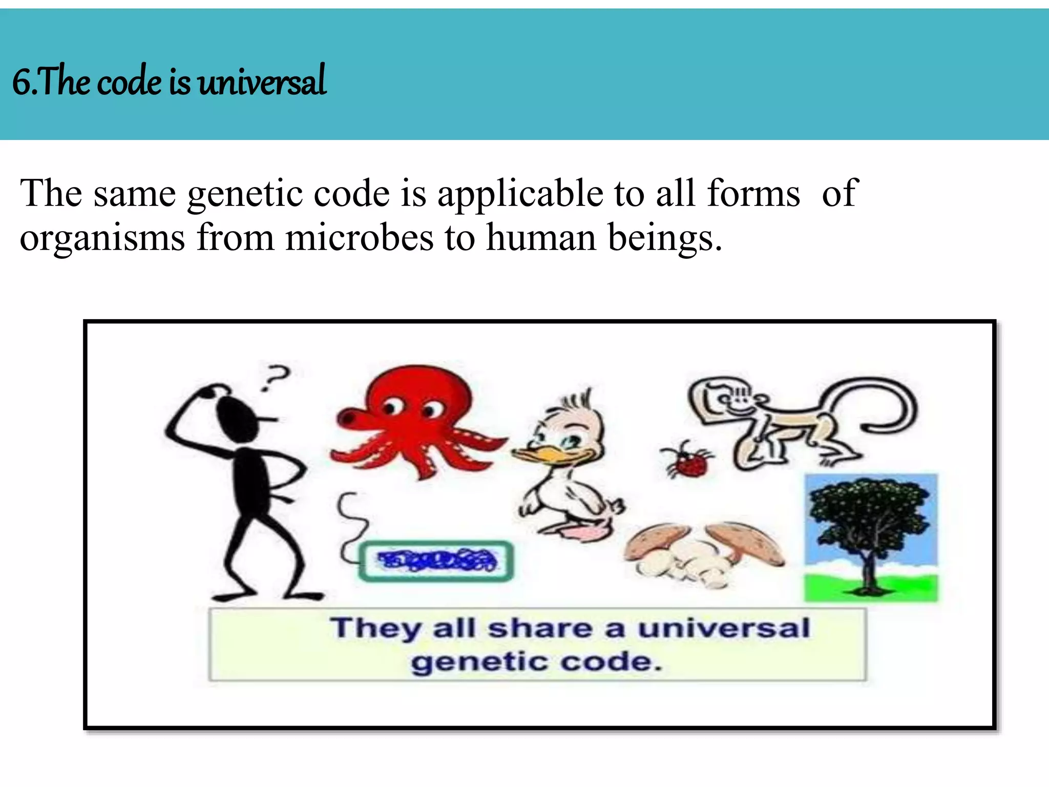 6.Thecodeis universal
The same genetic code is applicable to all forms of
organisms from microbes to human beings.
 