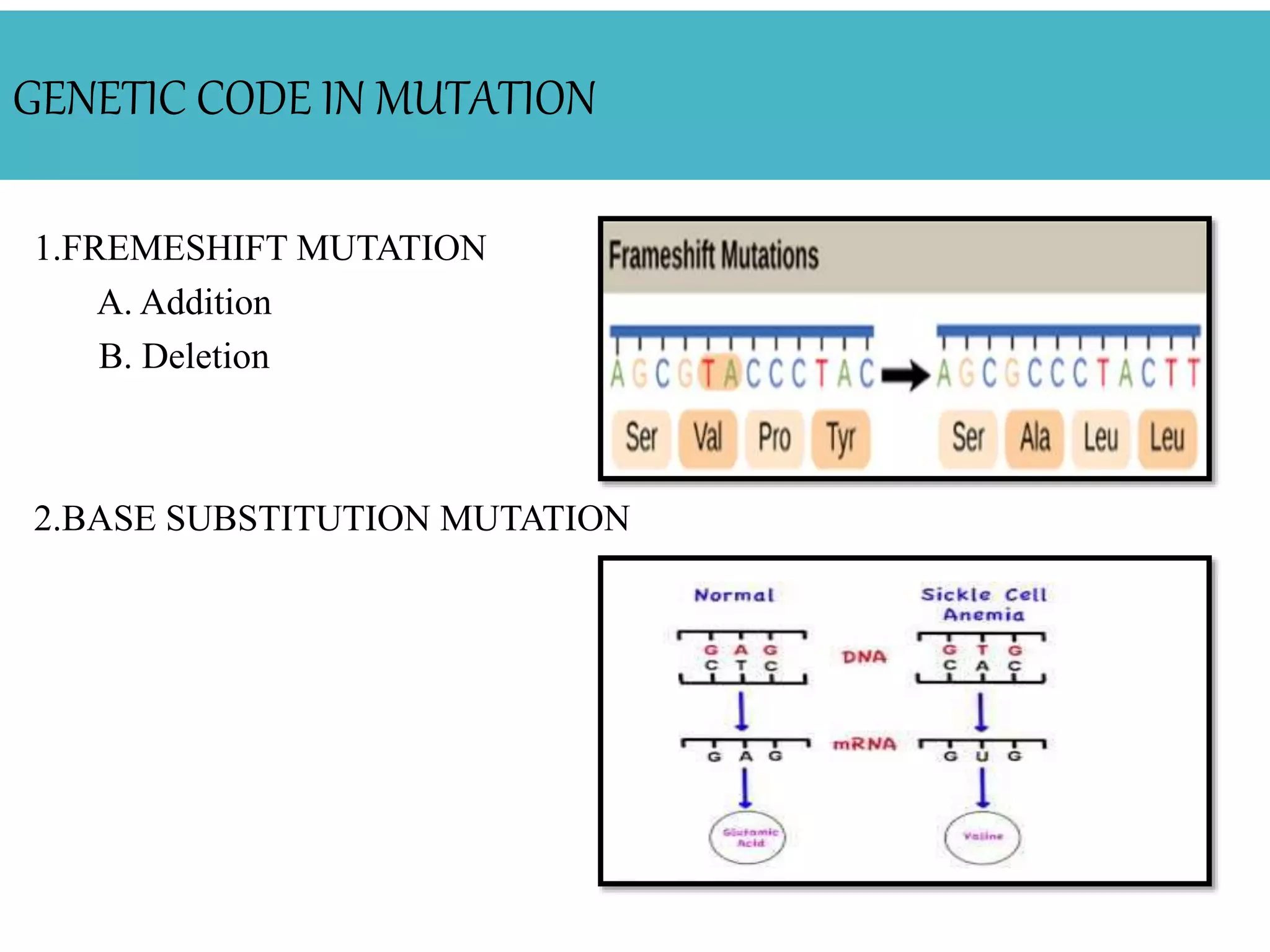 GENETIC CODE IN MUTATION
1.FREMESHIFT MUTATION
A. Addition
B. Deletion
2.BASE SUBSTITUTION MUTATION
 
