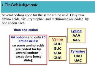 2. The Code isdegenerate.
Several codons code for the same amino acid. Only two
amino acids, viz., tryptophan and methionine are coded by
one codon each.
 