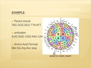 Genetic code properties | PDF