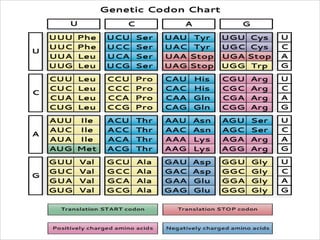 Genetic code properties | PDF