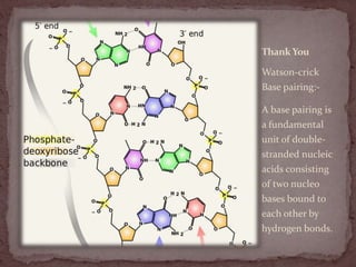 ThankYou
Watson-crick
Base pairing:-
A base pairing is
a fundamental
unit of double-
stranded nucleic
acids consisting
of two nucleo
bases bound to
each other by
hydrogen bonds.
 