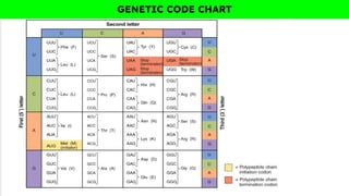 GENETIC CODE CHART
 