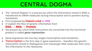 CENTRAL DOGMA
● The “central Dogma” is a process by which the information stored in DNA is
transferred to mRNA molecules during transcription and to proteins during
translation.
● First proposed by Francis crick in 1958
● It explain the ﬂow of genetic information from
DNA → RNA → Protein
● the process by which DNA instructions are converted into the functional
product is called gene expression.
● Gene expression has two key stages transcription and translation.
● Transcription is the ﬁrst step in gene expression – transfers the genetic
information stored in DNA(genes) into messenger RNA molecules that carry
the information to the ribosomes.
 