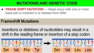 MUTATIONS AND GENETIC CODE
● FRAME SHIFT MUTATION → these occur with one or more
base pair is inserted in or deleted from DNA
 