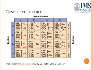 GENETIC CODE TABLE
Image credit: "The genetic code," by OpenStax College, Biology
 