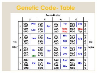 Sking Dna Code GENETIC CODE.pptFINAL.pptx on genetics study | PPTX