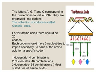 Codons Collections GENETIC CODE.pptFINAL.pptx on genetics study | PPTX