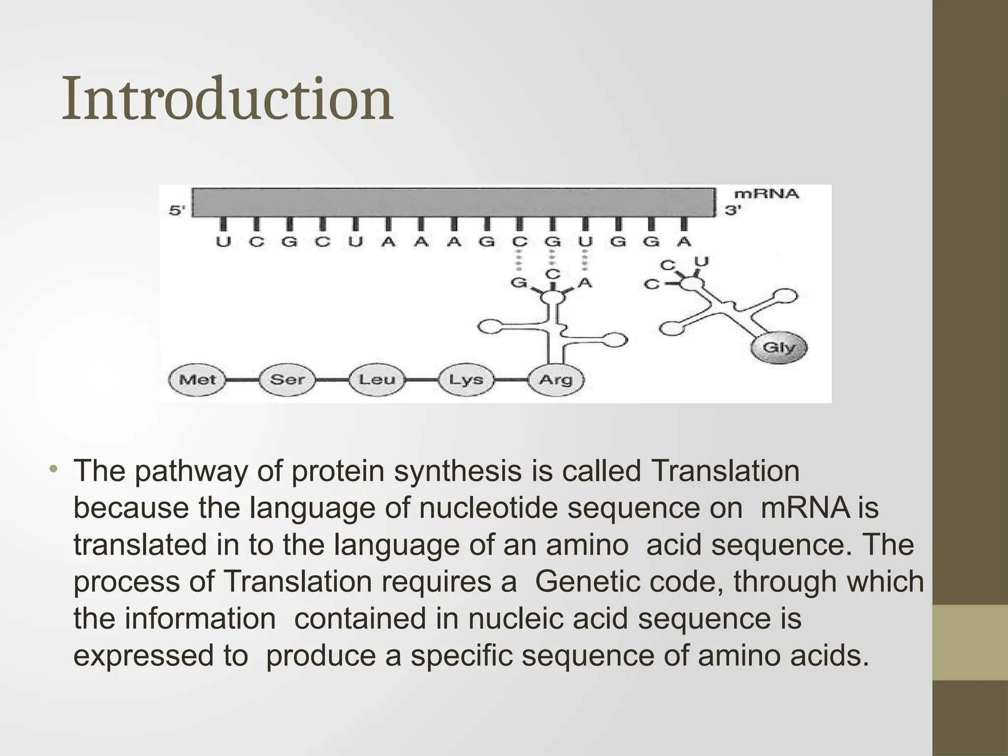 GENETIC CODE's (Types of Mutations).pptx