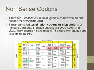 Stop Code Uaa GENETIC CODE's (Types of Mutations).pptx