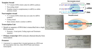 Genetic Code From Principles Of Genetics | PPTX