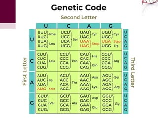 Genetic code definition and genetic code table | PPTX