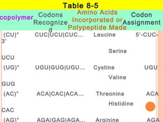 Valine Codon Genetic code 3 | PPT