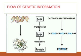 Genetic code and its properties ,dictionary | PPTX