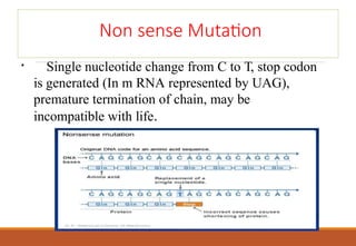 Genetic code and its properties ,dictionary | PPTX