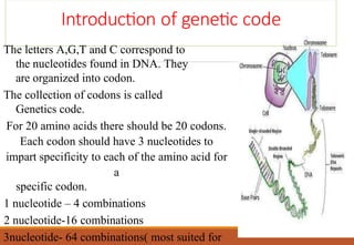 Genetic code and its properties ,dictionary | PPTX