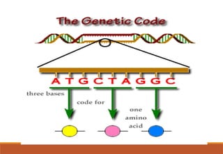 Genetic code and its properties ,dictionary | PPTX