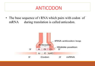 ANTICODON
• The base sequence of t RNA which pairs with codon of
mRNA during translation is called anticodon.
 