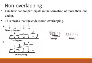Non-overlapping
• One base cannot participate in the formation of more than one
codon.
• This means that the code is non-overlapping.
 
