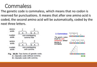 Commaless
The genetic code is commaless, which means that no codon is
reserved for punctuations. It means that after one amino acid is
coded, the second amino acid will be automatically, coded by the
next three letters.
 