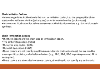 Chain Initiation Codons
•In most organisms, AUG codon is the start or initiation codon, i.e., the polypeptide chain
starts either with methionine (eukaryotes) or N- formylmethionine (prokaryotes).
•In rare cases, GUG codes for valine also serves as the initiation codon, e.g., bacterial protein
synthesis.
Chain Termination Codons
•The three codons are the chain stop or termination codon.
• The amber stop codon, ( UAG)
•The ochre stop codon, (UAA)
•The opal stop codon, ( UGA)
•These codons are not read by any tRNA molecules (via their anticodons), but are read by
some specific proteins, called release factors (e.g., RF-1, RF-2, RF-3 in prokaryotes and RF in
eukaryotes).
•These codons are also called nonsense codons, since they do not specify any amino acid
 