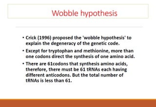 Wobble hypothesis
 
