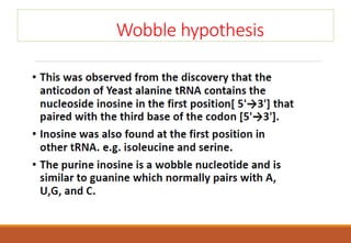 Wobble hypothesis
 