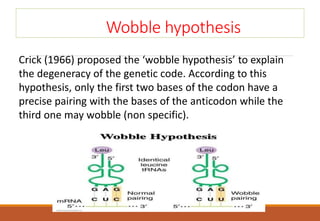 Wobble hypothesis
Crick (1966) proposed the ‘wobble hypothesis’ to explain
the degeneracy of the genetic code. According to this
hypothesis, only the first two bases of the codon have a
precise pairing with the bases of the anticodon while the
third one may wobble (non specific).
 