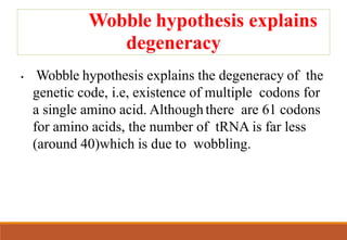 Wobble hypothesis explains
degeneracy
• Wobble hypothesis explains the degeneracy of the
genetic code, i.e, existence of multiple codons for
a single amino acid. Although there are 61 codons
for amino acids, the number of tRNA is far less
(around 40)which is due to wobbling.
 