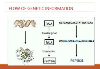FLOW OF GENETIC INFORMATION
 